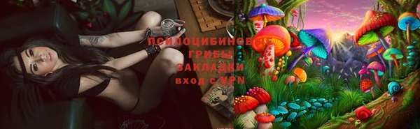 молекула духа Балахна