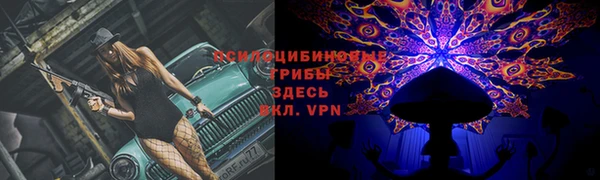 СК Арсеньев
