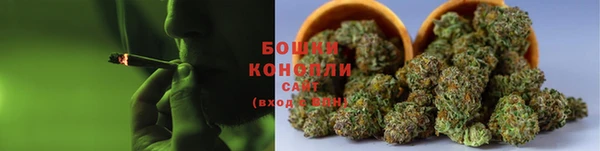 PSILOCYBIN Балабаново