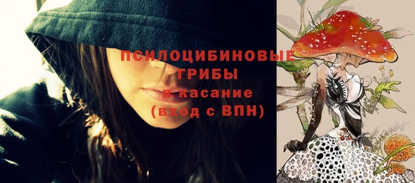 СК Арсеньев